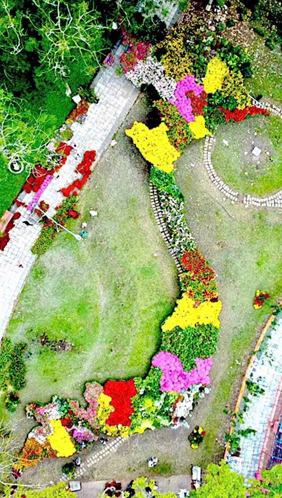 Kỷ lục Bản đồ Việt Nam từ 1 . 000 Giống hoa kiểng tại Festival Sa Đéc lần 2 - Ảnh 12. Kỷ lục Bản đồ Việt Nam từ 1 . 000 Giống hoa kiểng tại Festival Sa Đéc lần 2 - Ảnh 12.