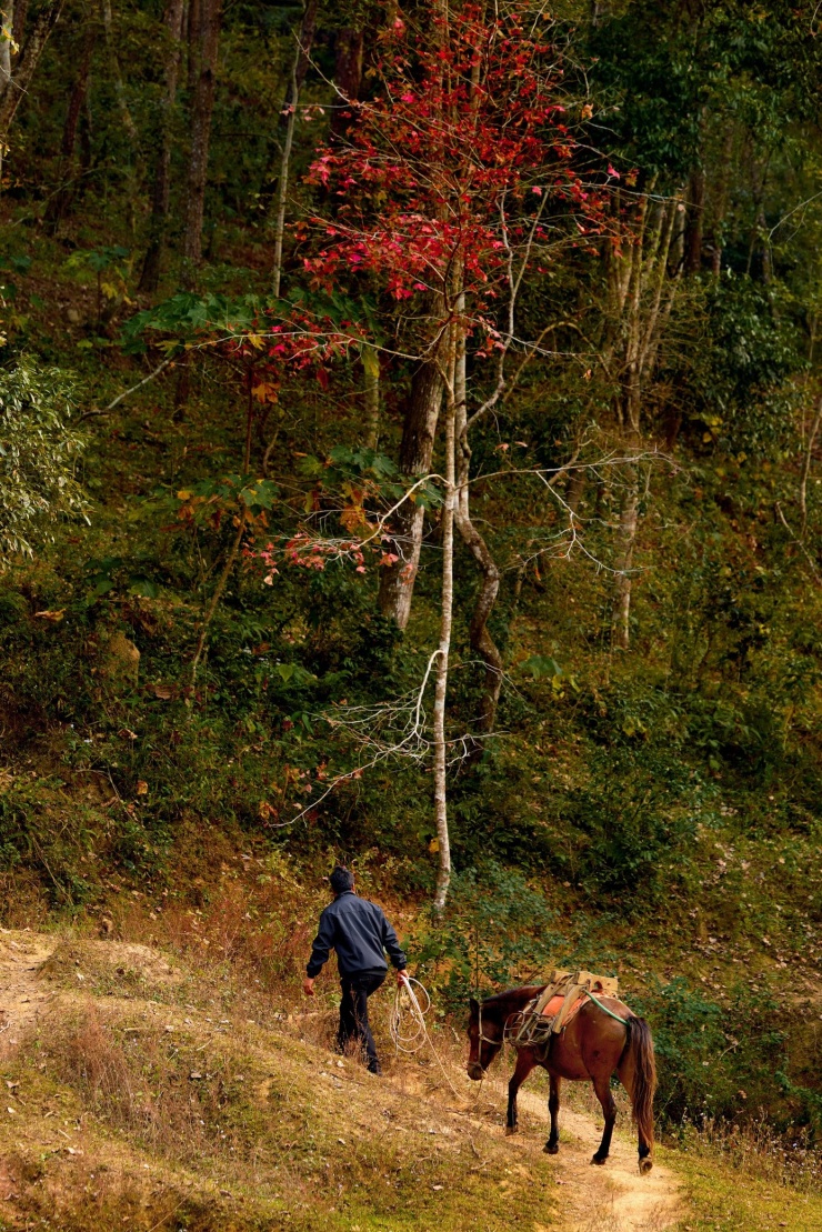 Trao đổi với PV Tiền Phong, nhiếp ảnh trẻ Thái Dương, cho biết bộ ảnh thơ mộng trên có chủ đề mùa đông về trên hồ Bản Viết được anh chụp vào khoảng giữa tháng 12 khi mùa đông đang về với mảnh đất địa đầu biên giới phía Đông Bắc của Tổ quốc.