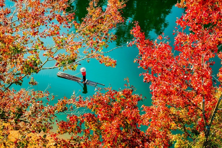 Anh Dương cho biết phong cảnh nơi đây rất đẹp, mùa này là mùa cây sau sau chuyển màu đỏ, đẹp không khác gì phong cảnh Hàn Quốc. Khi đến đây thưởng lãm cảnh vật với cảm xúc dâng trào anh đã sáng tác bộ ảnh trên.