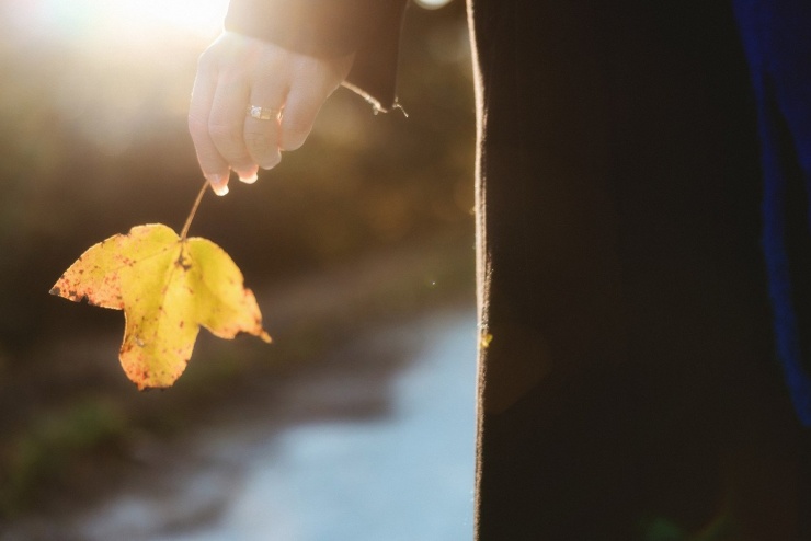Hệ sinh thái quanh hồ đa dạng, phong phú, tạo nên một bức tranh thiên nhiên sinh động, đầy màu sắc nhưng không kém phần thơ mộng. Với vị trí nằm ẩn sâu giữa rừng núi hùng vĩ, hồ nước mang một nét đẹp rất yên bình, êm đềm.