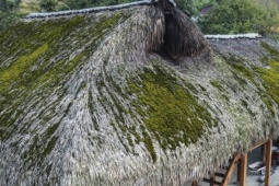 Vẻ đẹp nguyên sơ của những mái nhà rêu xanh giữa lưng chừng núi Tây Côn Lĩnh