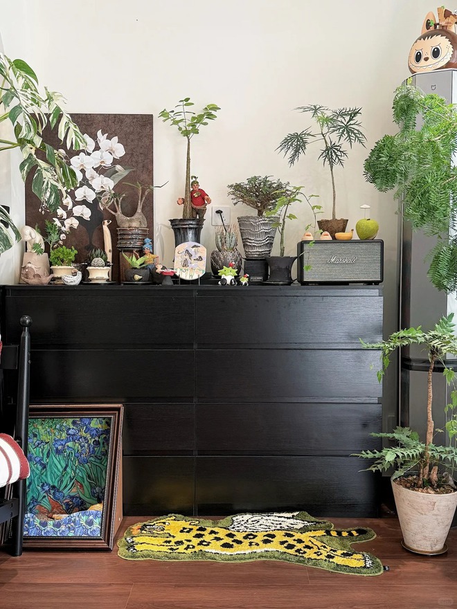 Bỏ phố về... ban công: Chàng trai 9x chia sẻ bí kíp 