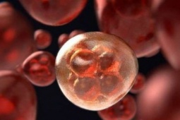 Tế bào ung thư khởi phát trong cơ thể như thế nào? Hiểu đúng để phòng bệnh đúng cách