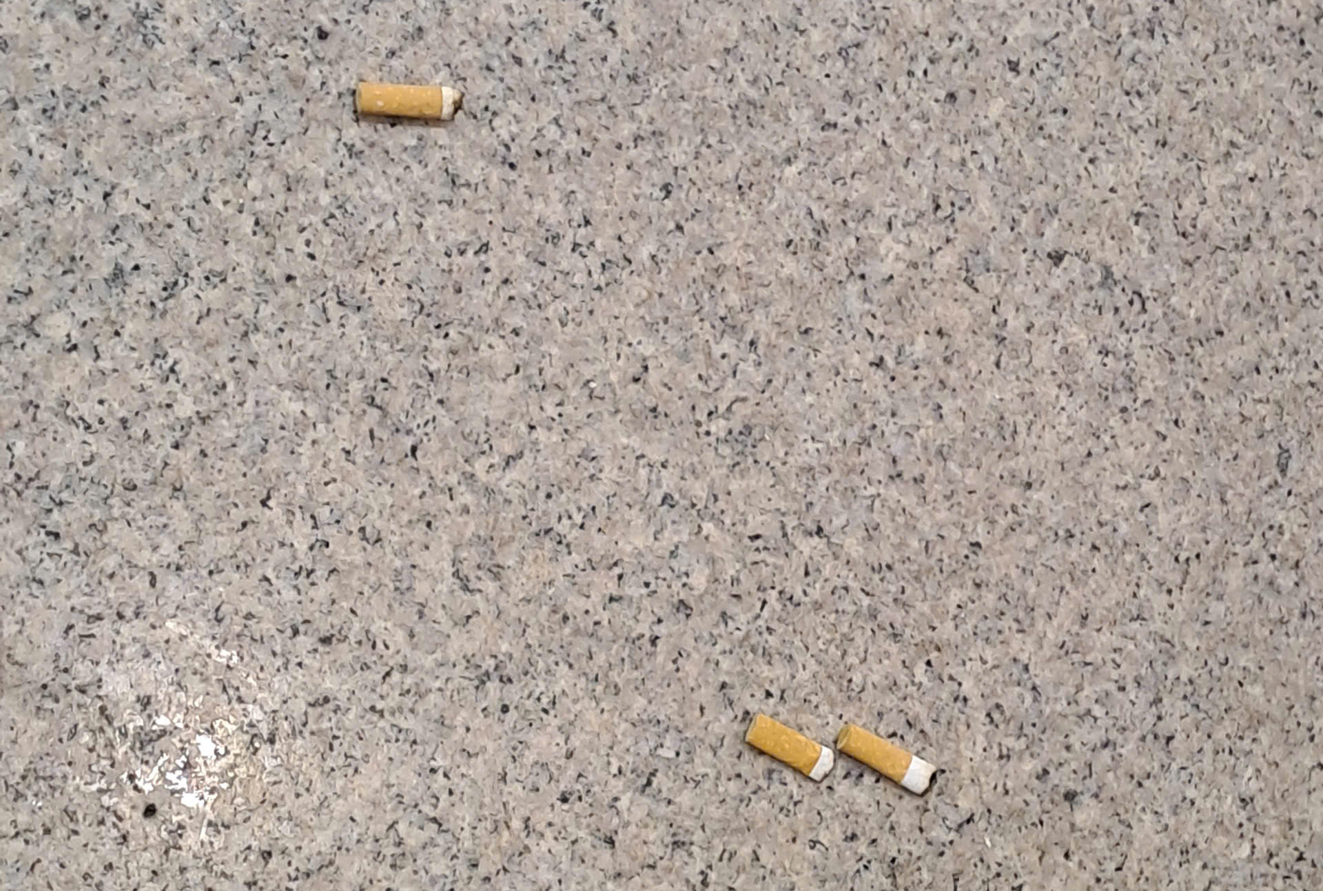 Xả rác bừa bãi tại sân bay Tân Sơn Nhất: Khi ý thức còn nhiều 