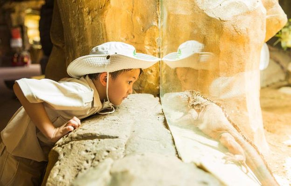 Dấu ấn trên hành trình 10 năm phát triển của Vinpearl Safari Phú Quốc - 9