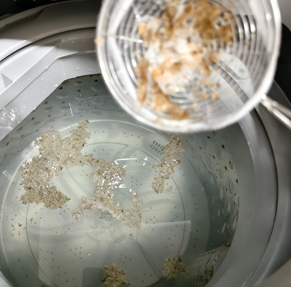 1 người phơi quần áo, cả nhà lần lượt đổ bệnh vì cách làm RẤT SAI- Ảnh 5. 1 người phơi quần áo, cả nhà lần lượt đổ bệnh vì cách làm RẤT SAI- Ảnh 5.