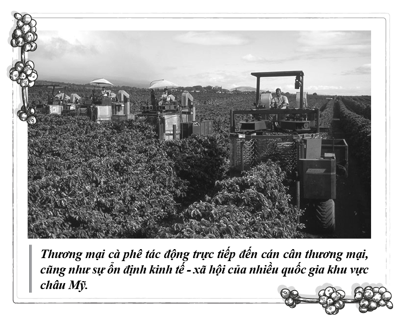 - Ảnh 3. - Ảnh 3.