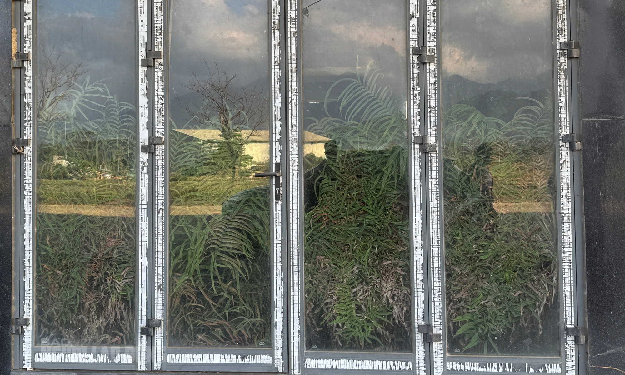 Cảnh hoang hóa ở khu đô thị sinh thái ngàn tỉ Golden Hills City Đà Nẵng sau 2 lần thanh tra - Ảnh 1.