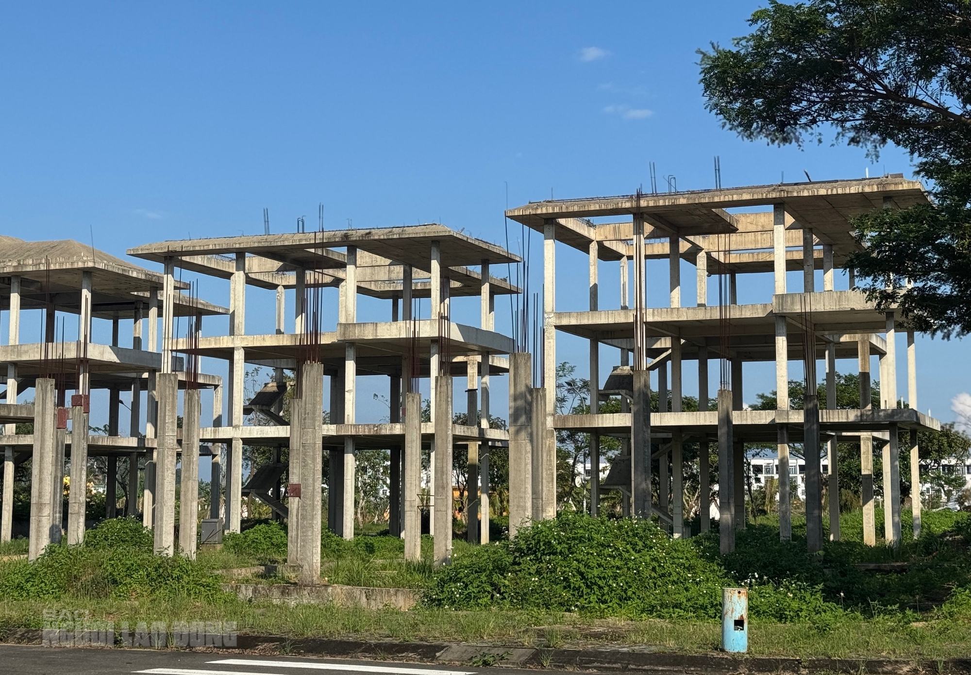 Cảnh hoang hóa tại khu đô thị Golden Hills City Đà Nẵng sau 2 lần Thanh tra - Ảnh 11.