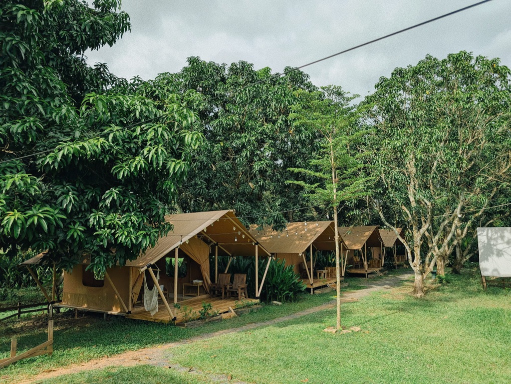 5 khu cắm trại tại TPHCM phù hợp đưa nhau đi trốn dịp Tết Dương lịch - 7