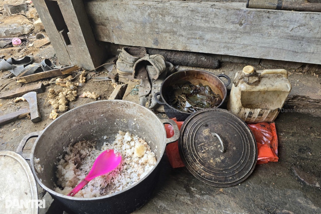 Gia đình người Dao nghèo cùng kiệt, 2 con thơ bệnh tật trong căn nhà nát - 5