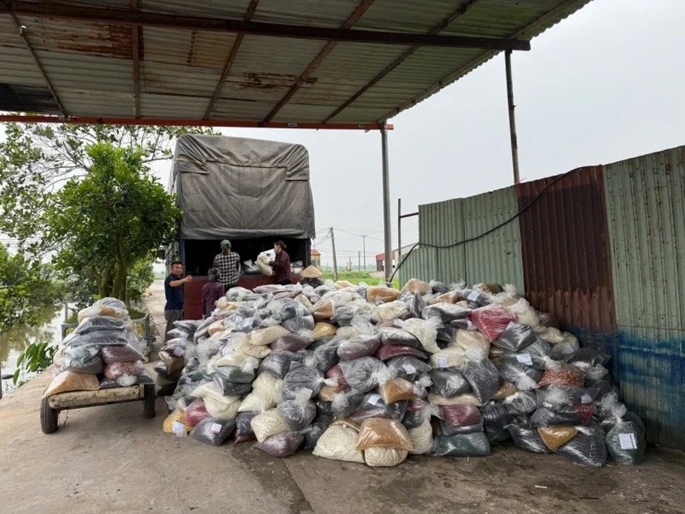 Quang Linh, Hoàng Hường, Shark Bình, Mailisa và những đại án năm 2025 - 6