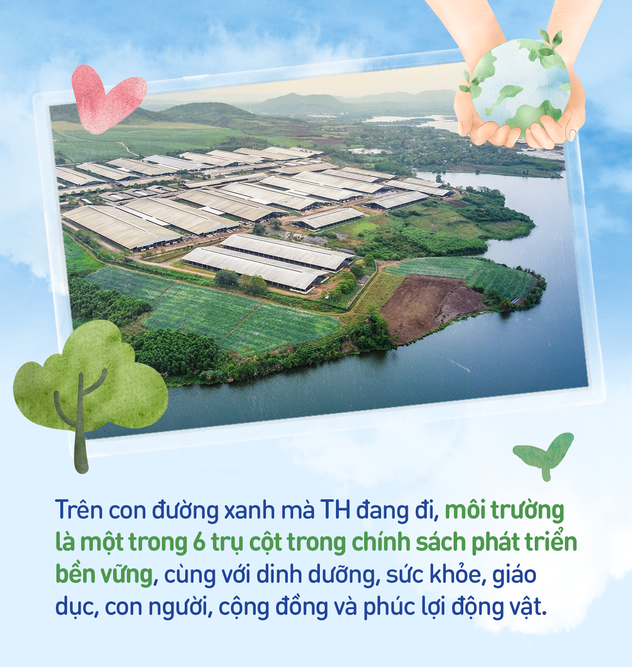 Tập đoàn TH để lại dấu ấn trong cộng đồng bằng chiến dịch “Thu gom vỏ hộp - Lan tỏa sống xanh 2025”- Ảnh 6.