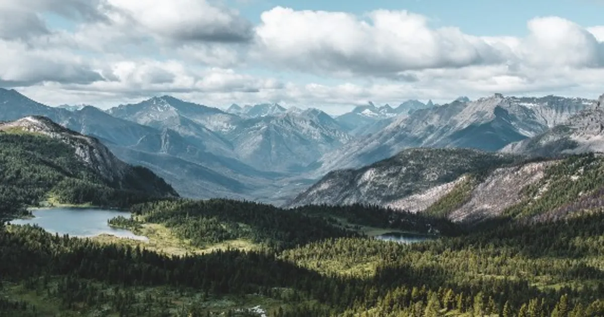 Đôi vợ chồng chi hơn 12 tỷ đồng mua mảnh đất 16.000m2 để nghỉ hưu sớm: “1 năm sau tôi phải quay lại thành phố, mọi thứ khác xa tưởng tượng”- Ảnh 2.