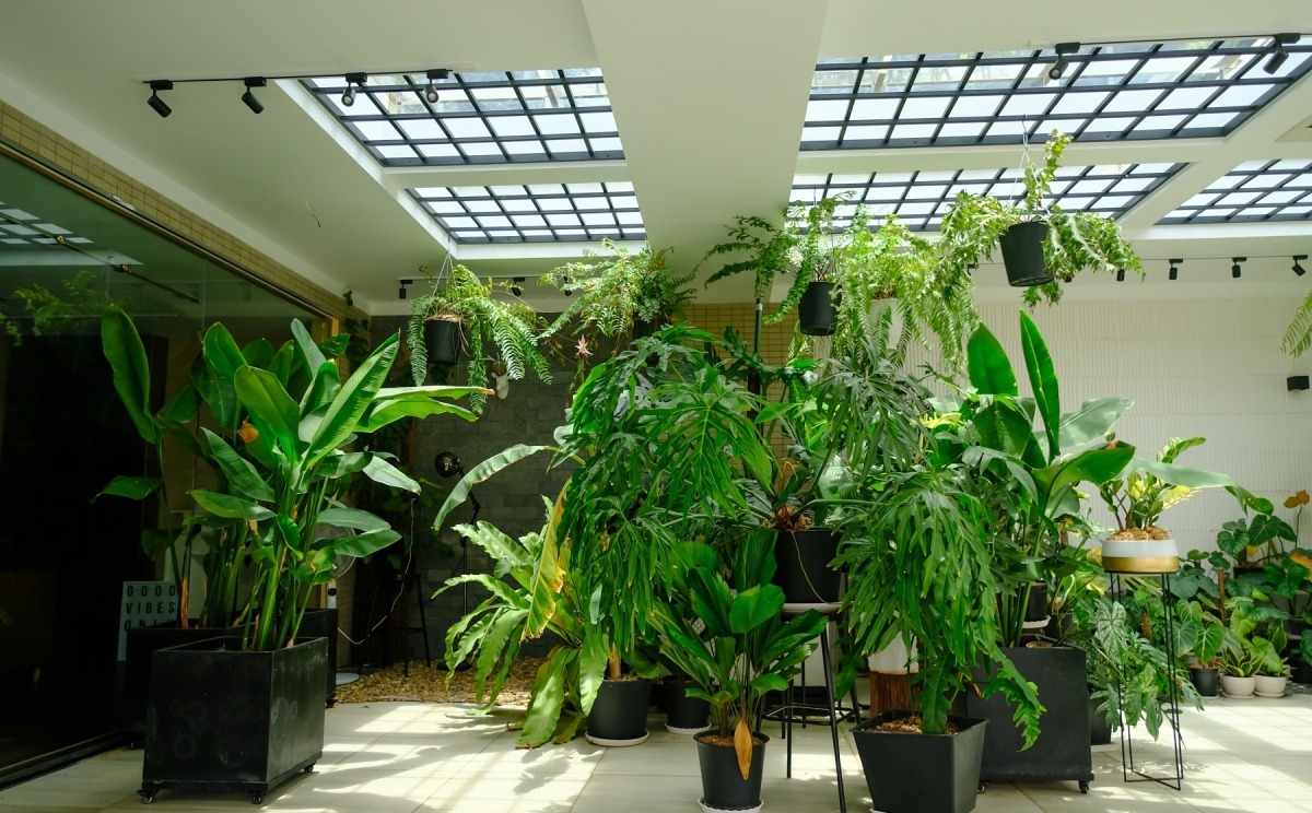 Tài sản của Khánh Thi - Phan Hiển- Ảnh 8.