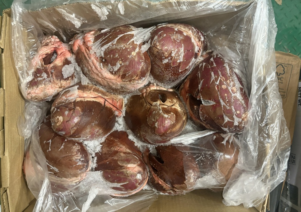 Phát hiện hơn 30 tấn thịt, nội tạng không rõ nguồn gốc ở TPHCM - 2