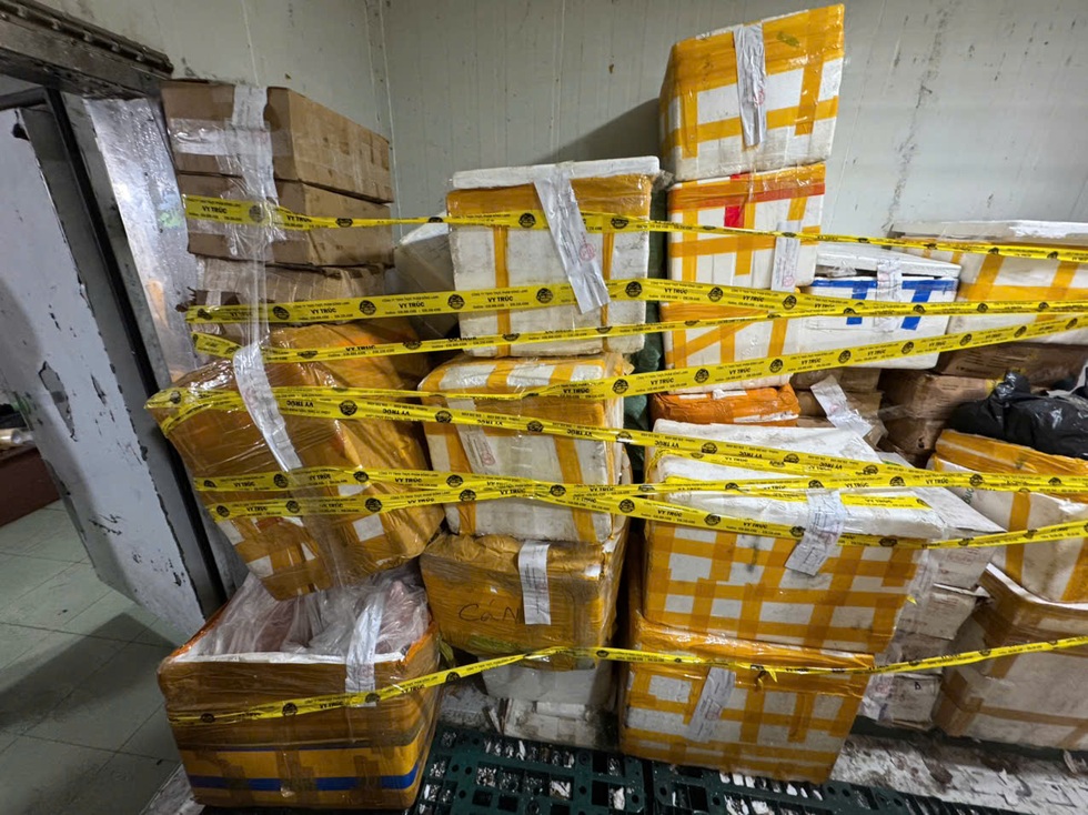 Phát hiện hơn 30 tấn thịt, nội tạng không rõ nguồn gốc ở TPHCM - 5