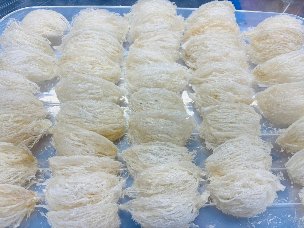 Yến sào cao cấp Maison - món quà cho sức khỏe - 2