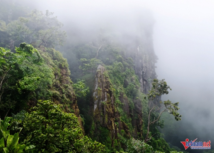 Du khách băng rừng vượt suối 5 tiếng, vỡ òa trước cảnh trên nóc nhà Cúc Phương 4 Trên hành trình lên đỉnh núi, du khách phải vượt qua các địa hình phức tạp, hiểm trở. Ảnh: CP