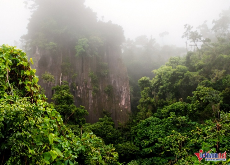 Du khách băng rừng vượt suối 5 tiếng, vỡ òa trước cảnh trên nóc nhà Cúc Phương 7 Trên hành trình trinh phục đỉnh Mây Bạc du khách sẽ được trải nghiệm và hòa mình vào thiên nhiên. Ảnh: CP