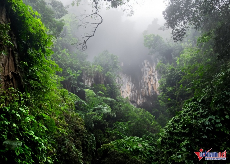 Du khách băng rừng vượt suối 5 tiếng, vỡ òa trước cảnh trên nóc nhà Cúc Phương 9 Khung cảnh trên cung đường rừng như một bức tranh thủy mặc. Ảnh: CP