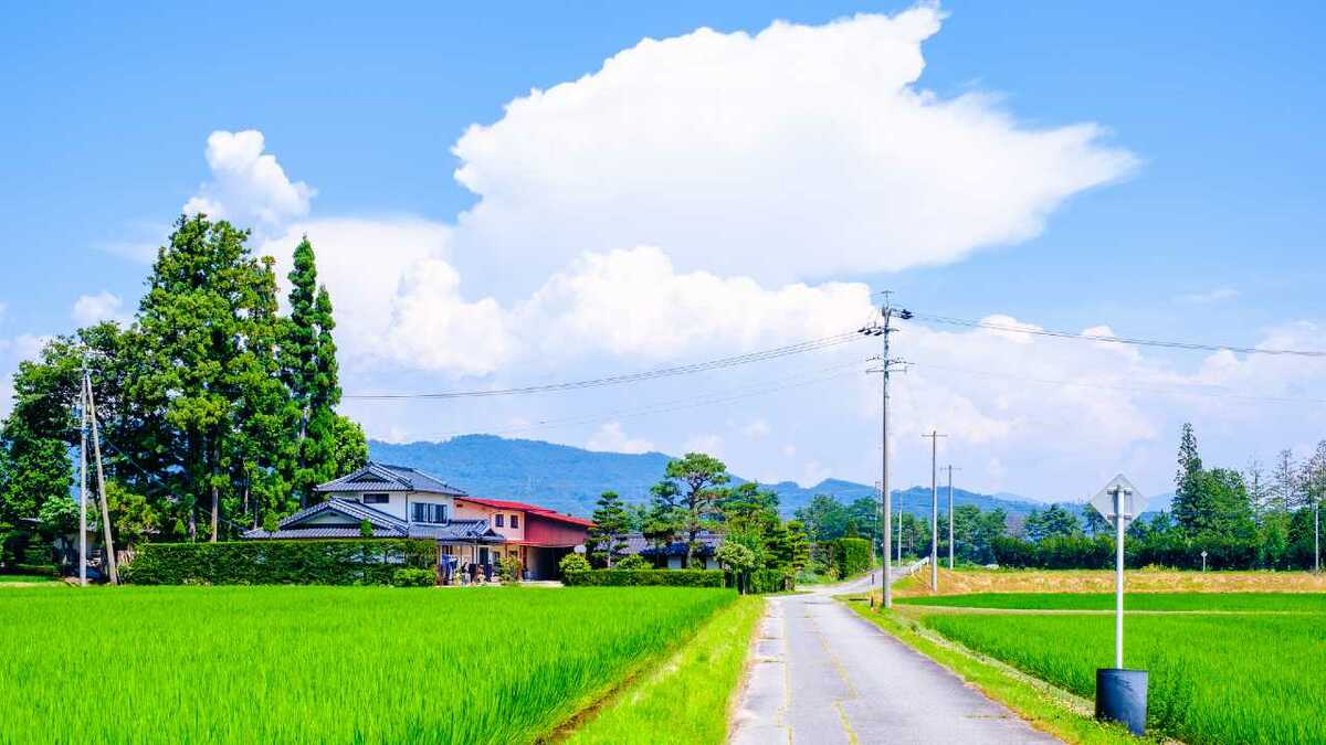 Cặp vợ chồng chi 2 tỷ đồng mua nhà nghỉ hưu ở quê nhưng 1 năm sau đã “quay xe” về thành phố: “Lỗ 800 triệu vẫn thấy nhẹ nhõm”- Ảnh 3. Cặp vợ chồng chi 2 tỷ đồng mua nhà nghỉ hưu ở quê nhưng 1 năm sau đã “quay xe” về thành phố: “Lỗ 800 triệu vẫn thấy nhẹ nhõm”- Ảnh 3.