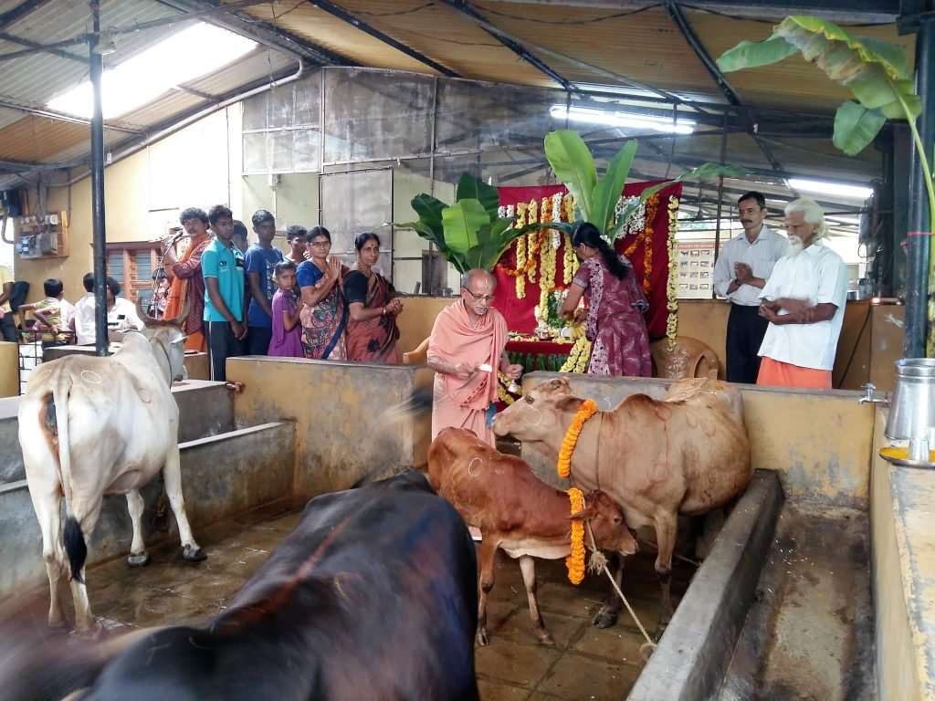 Ấn Độ nuôi hơn 500 triệu con bò nhưng không ăn thịt, mà biến chất thải của chúng thành mỏ vàng tỷ đô- Ảnh 4. Ấn Độ nuôi hơn 500 triệu con bò nhưng không ăn thịt, mà biến chất thải của chúng thành mỏ vàng tỷ đô- Ảnh 4.