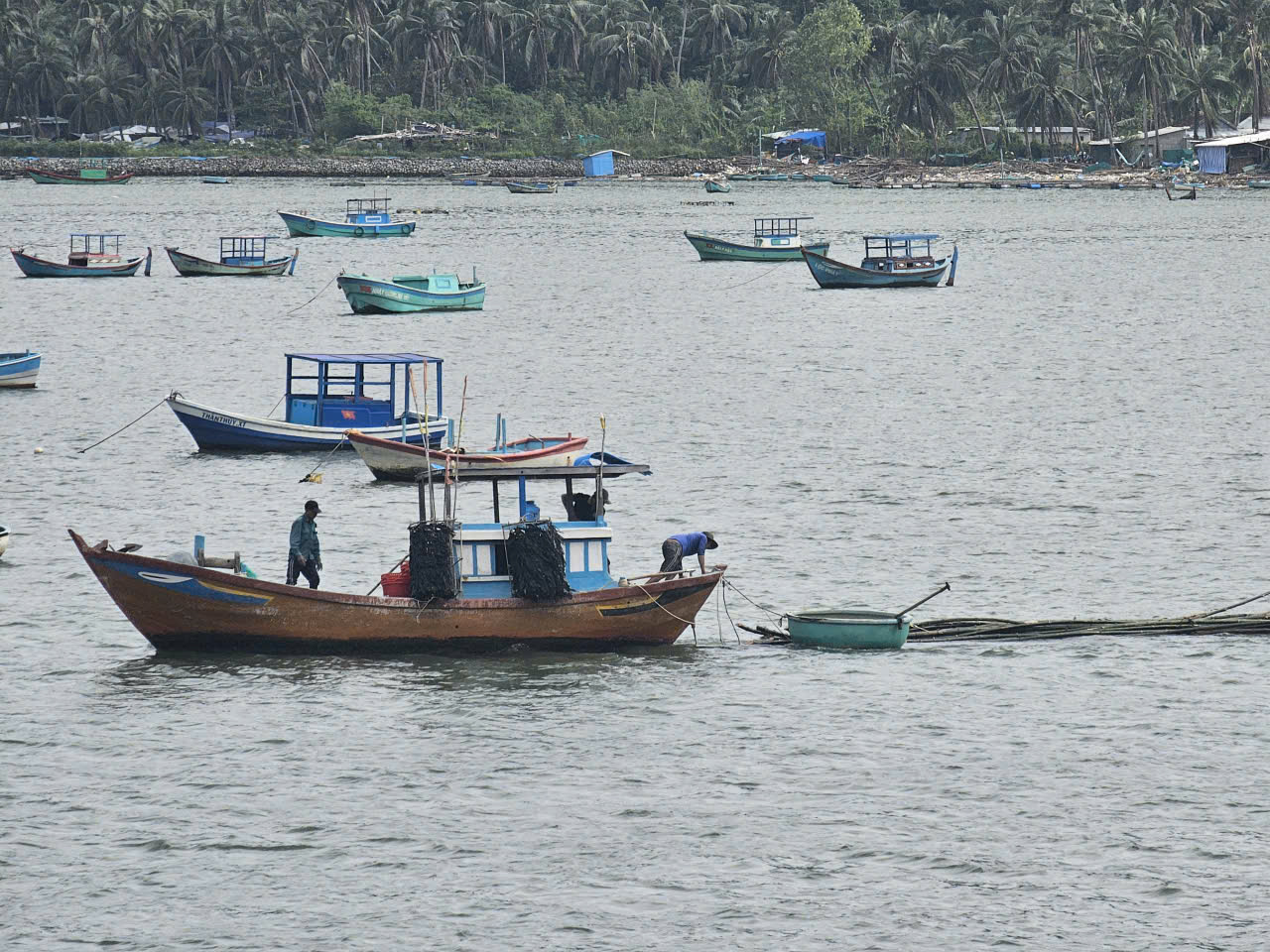 Thủ phủ tôm hùm hồi sinh - Ảnh 4.