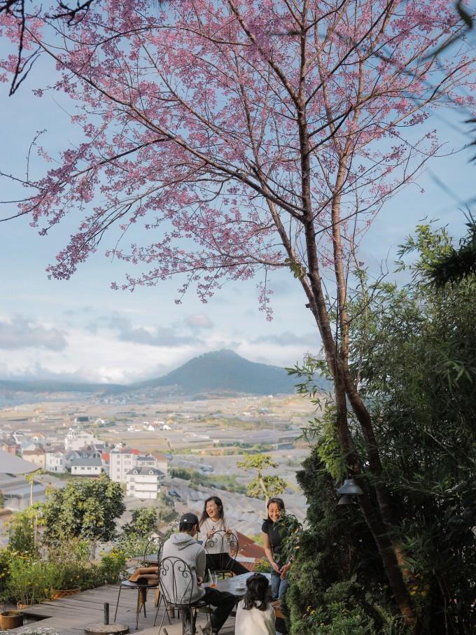 Ảnh: Tiệm cà phê Túi Mơ To.