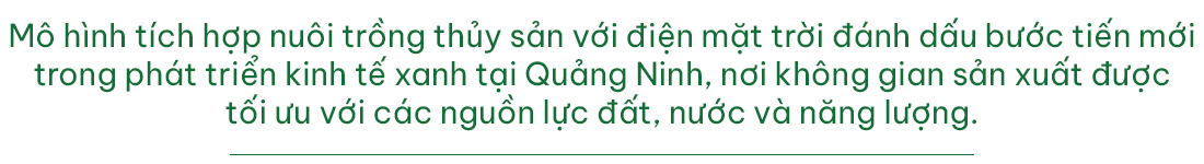 1767166289 140 Mo hinh tren dien duoi nuoi dau tien o