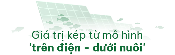 1767166292 51 Mo hinh tren dien duoi nuoi dau tien o