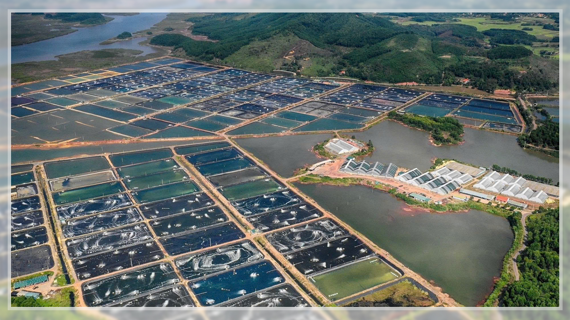 1767166293 618 Mo hinh tren dien duoi nuoi dau tien o