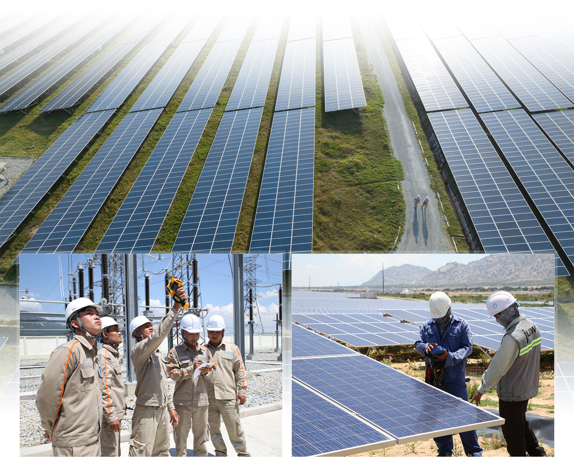 1767166295 73 Mo hinh tren dien duoi nuoi dau tien o