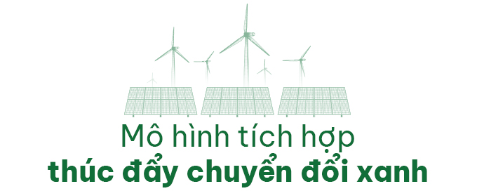 1767166295 779 Mo hinh tren dien duoi nuoi dau tien o