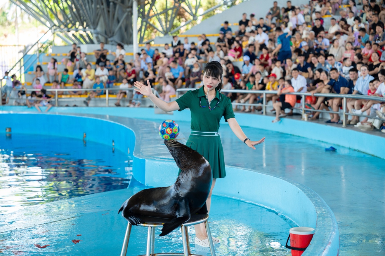 Tuần Châu Park: Điểm đến lý tưởng cho mùa hè sôi động tại Quảng Ninh- Ảnh 3. Tuần Châu Park: Điểm đến lý tưởng cho mùa hè sôi động tại Quảng Ninh- Ảnh 3.