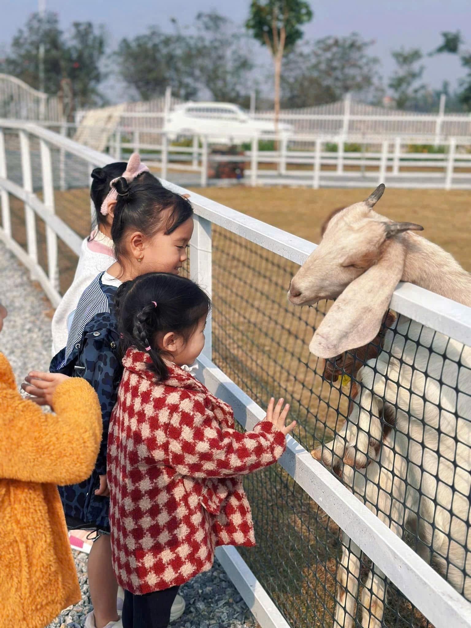 Tuần Châu Park: Điểm đến lý tưởng cho mùa hè sôi động tại Quảng Ninh- Ảnh 5. Tuần Châu Park: Điểm đến lý tưởng cho mùa hè sôi động tại Quảng Ninh- Ảnh 5.