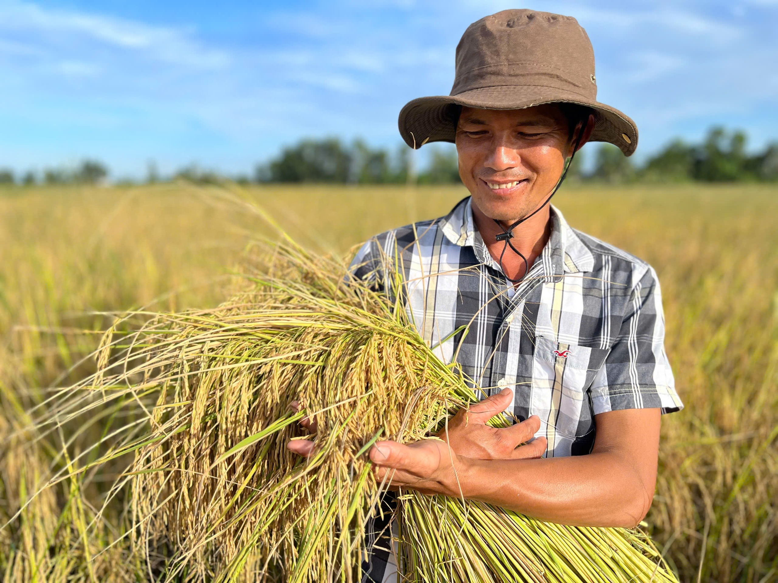 Lúa gạo miền Tây thay đổi tư duy 'làm nhiều' sang 'làm đúng'- Ảnh 3.