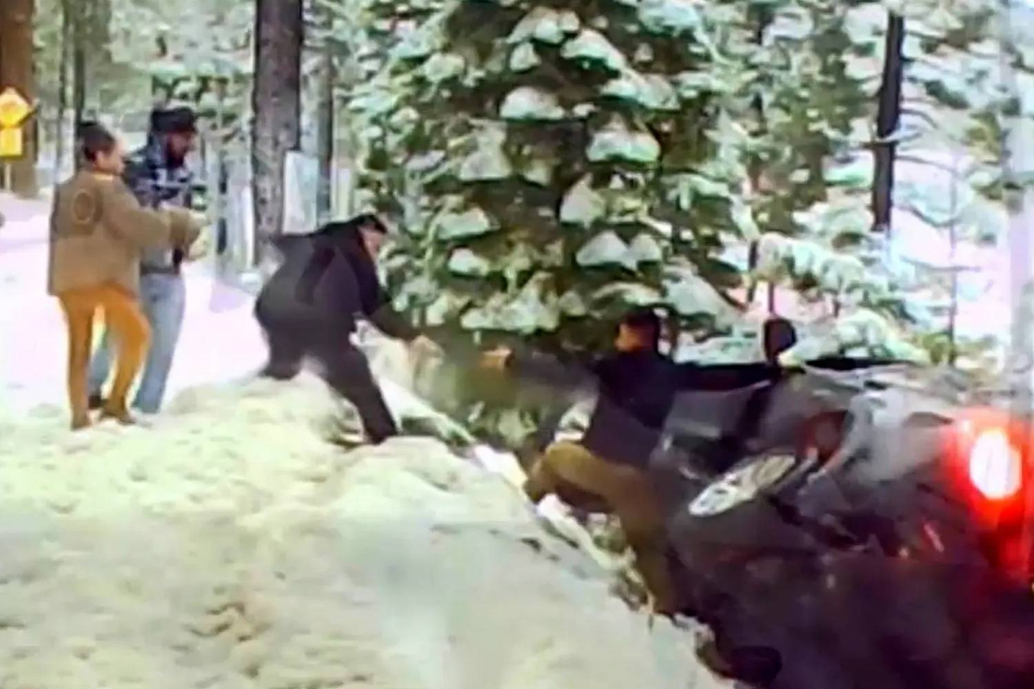 Phép màu trên vách núi ngày Giáng sinh- Ảnh 2.