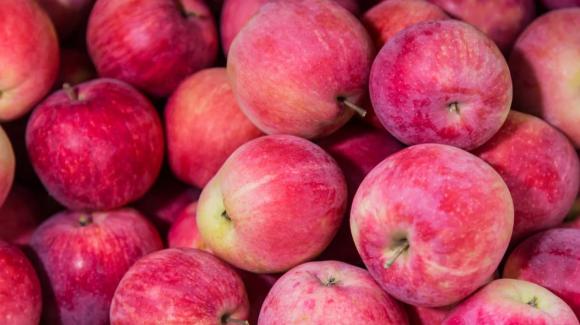 vi nhựa 0 vi nhựa, quả táo, quả cả rốt