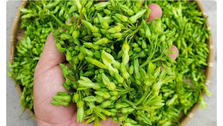Dùng rau và hoa thiên lý để nấu ăn vừa ngon vừa bổ.