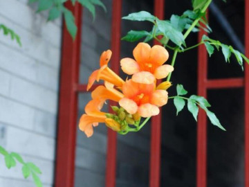 Người làm được 3 điều này khi 40-55 tuổi thực sự rất khôn ngoan, đáng nể 4 Học cách nói 2 chữ này, cuộc đời sẽ ngày càng suôn sẻ, gặp gỡ những điều tốt đẹp