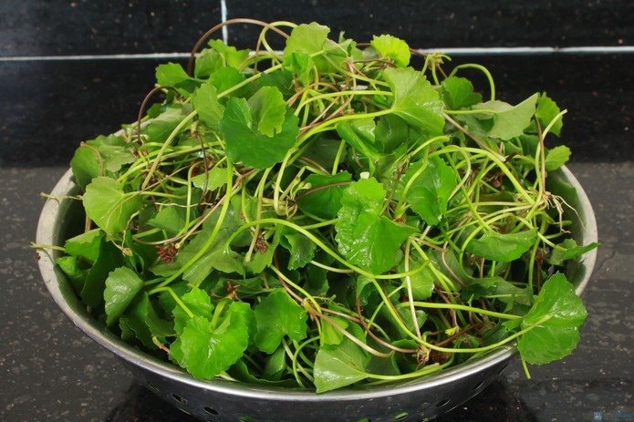 4 loại rau dân dã ở Việt Nam được ví bổ như sâm- Ảnh 1.