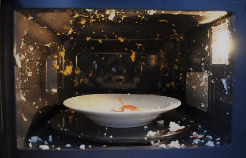 5 thứ ĐẠI KỊ lò vi sóng, tôi ước tất cả mọi người đều biết- Ảnh 1. 5 thứ ĐẠI KỊ lò vi sóng, tôi ước tất cả mọi người đều biết- Ảnh 1.