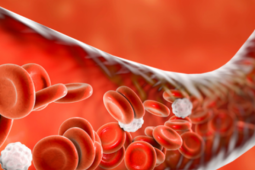 6 thực phẩm giúp ‘làm sạch' mạch máu giảm nguy cơ đột quỵ và đau tim