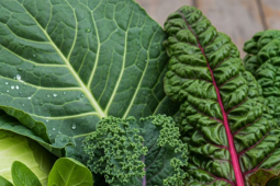 10 loại rau lá xanh quen thuộc nhưng cực kỳ tốt cho sức khỏe