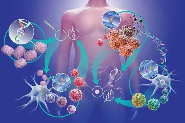 6 loại rau rẻ tiền, mùa đông người Việt nên ăn để ngăn ngừa tế bào ung thư 1 Ảnh minh họa.