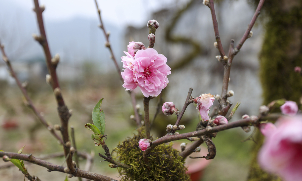 6 nham lan thuong gap ve thuong Tet 2026