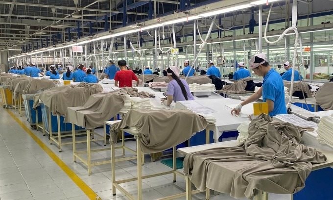 Tin vui: 7 DN ở TP HCM tiếp nhận hơn 2.700 công nhân mất việc trước Tết từ công ty Hàn Quốc- Ảnh 1.