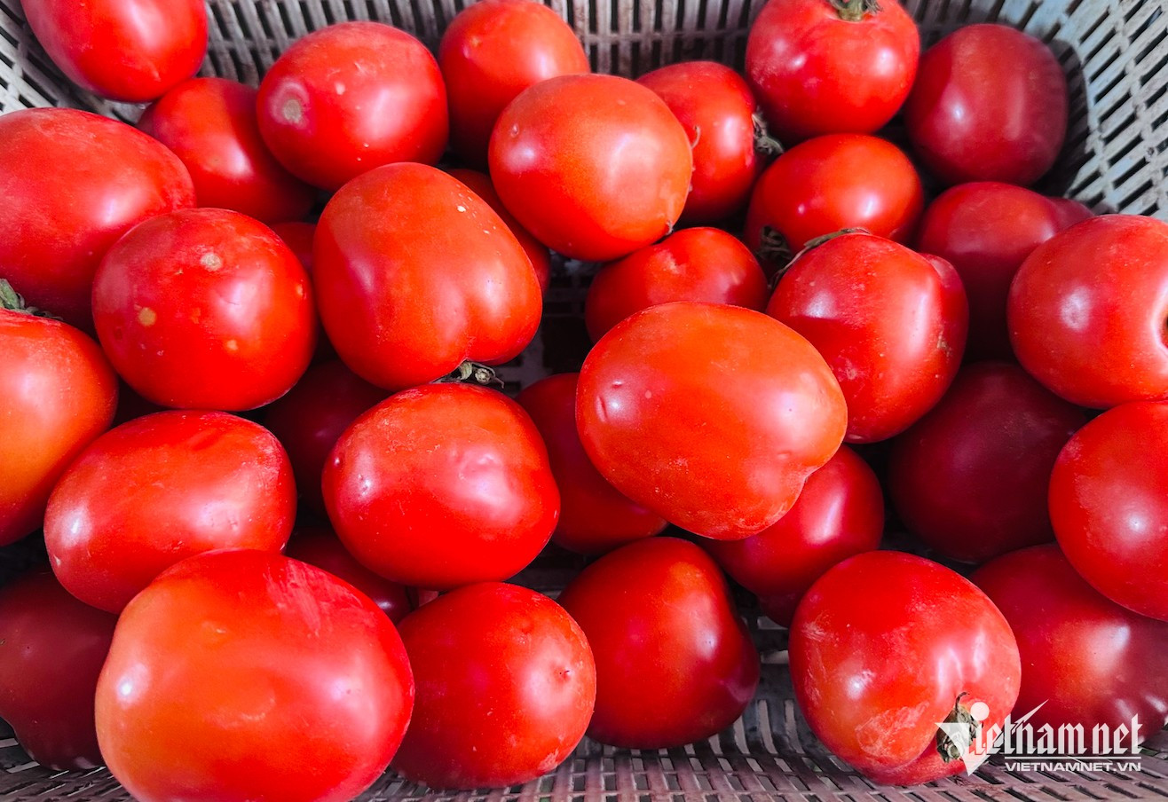 Cà chua tăng giá kỷ lục tại chợ Hà Nội: 85.000 đồng/kg vẫn bán sạch, bà nội trợ 'choáng váng'- Ảnh 1.