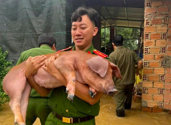 Vụ thủy điện Đồng Nai 5 xả tràn gây thiệt hại: Ai phải chịu trách nhiệm?- Ảnh 2.